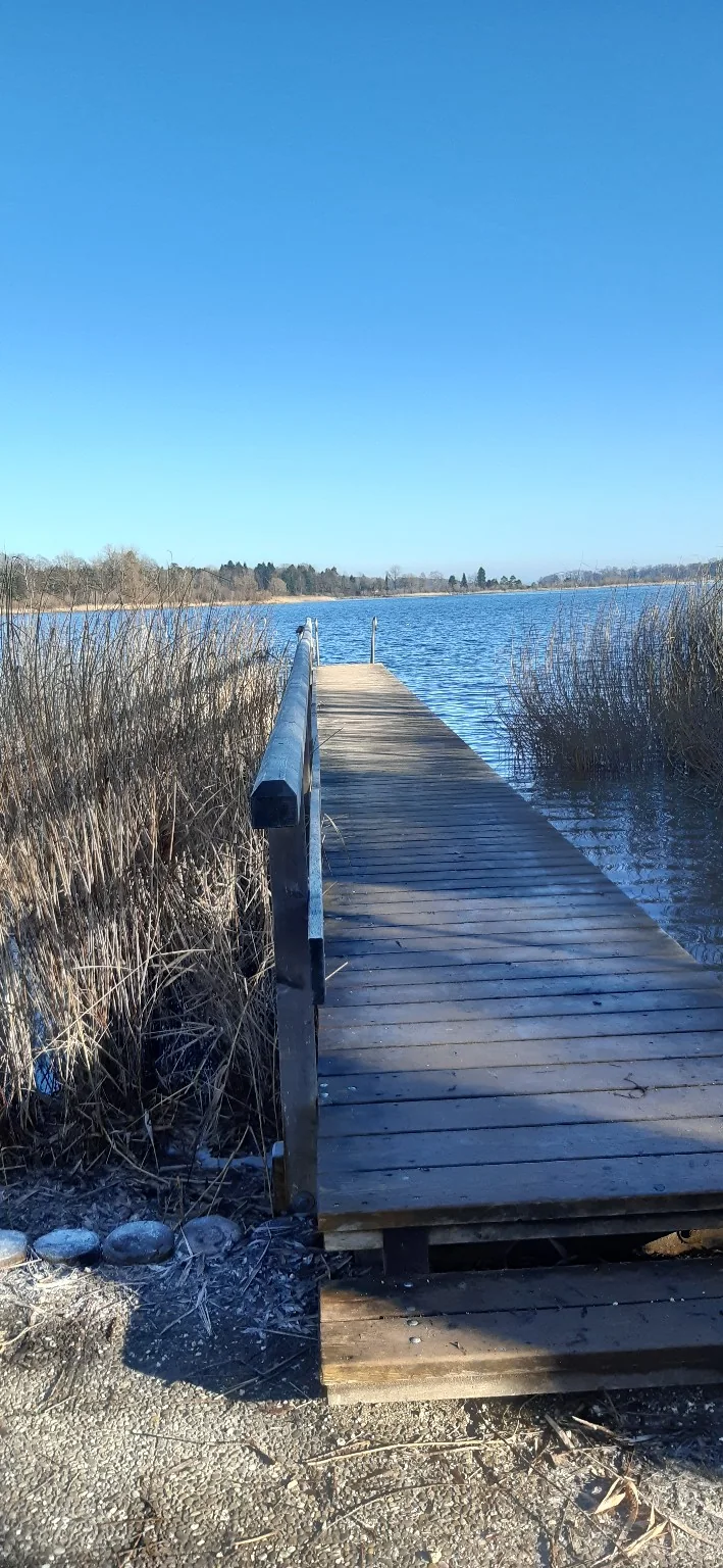 Chiemsee mit Holzsteg und Schilf